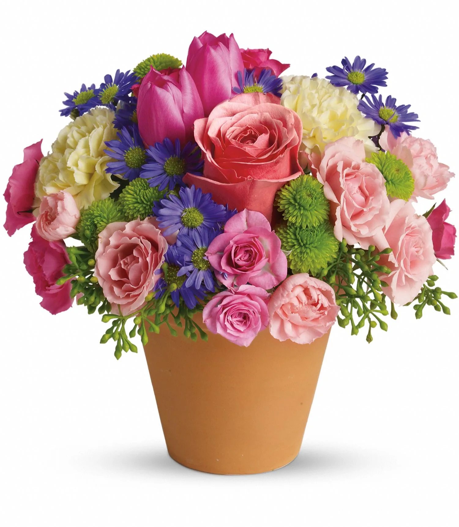 Spring Sonata Spring Sonata