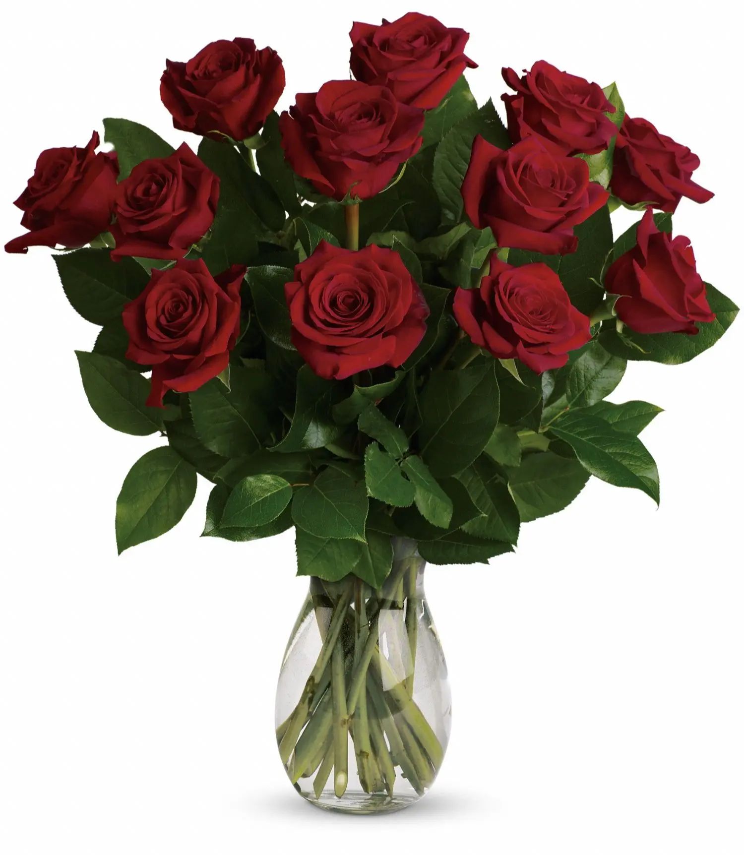 Dozen Long Stemmed Roses