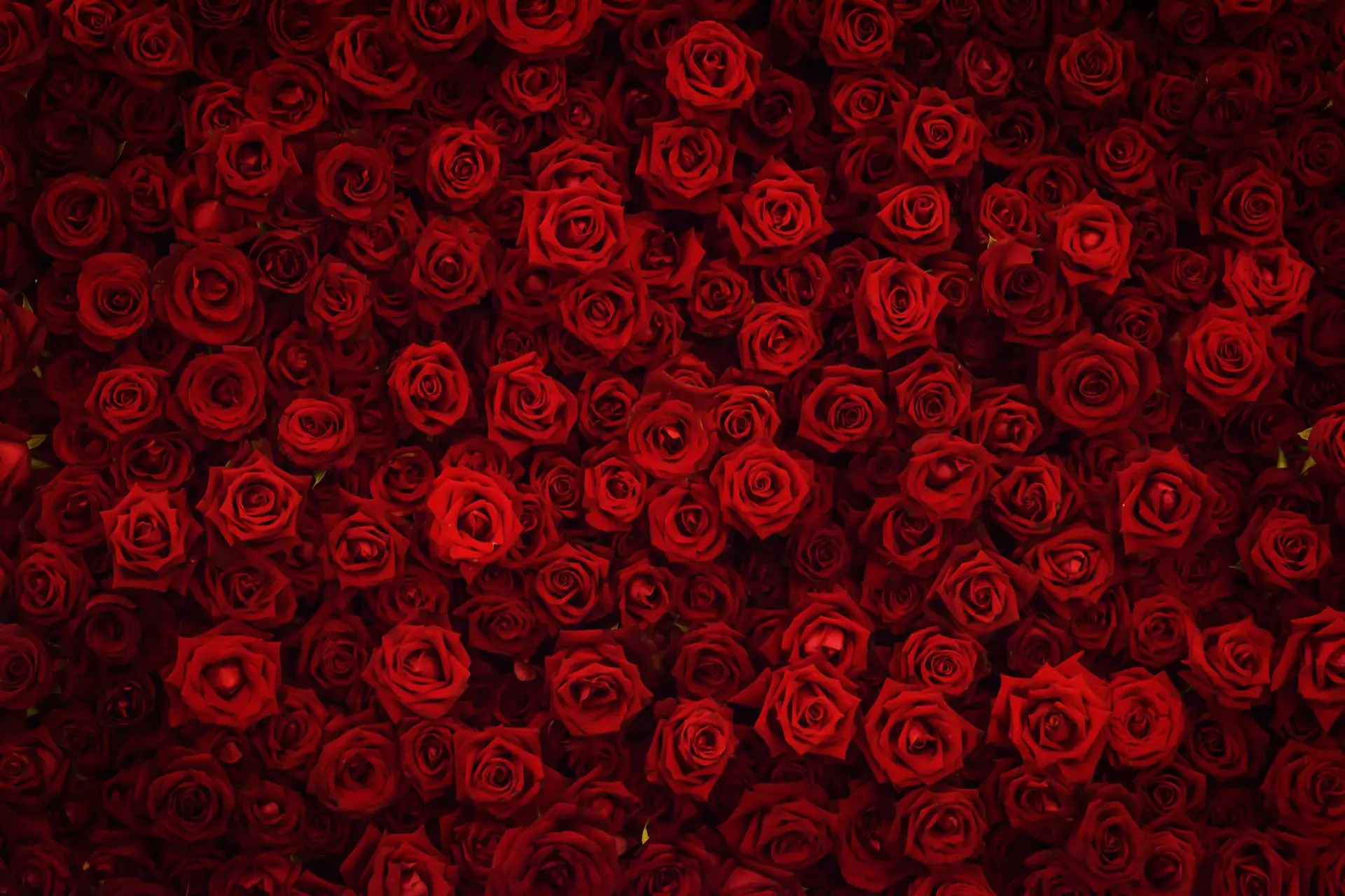 Designer's Selection Designer's Selection