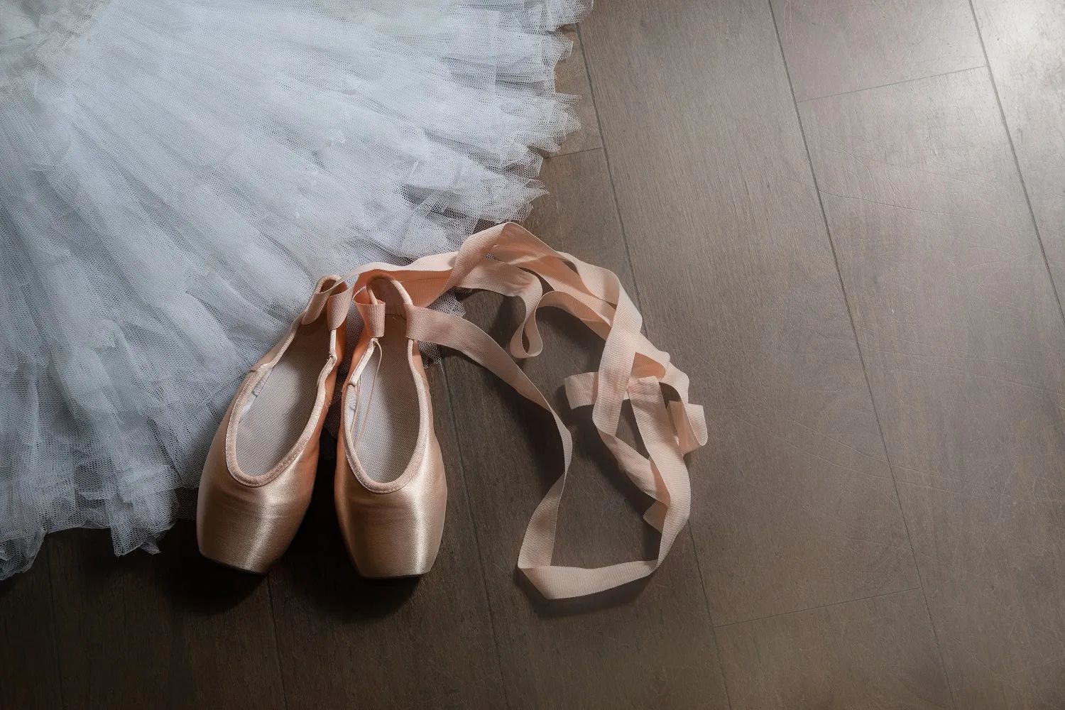 Dance collection