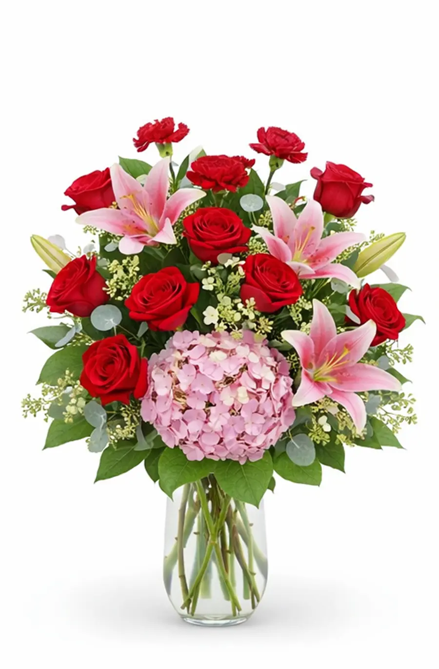 Hydrangea Rose Dream Hydrangea Rose Dream