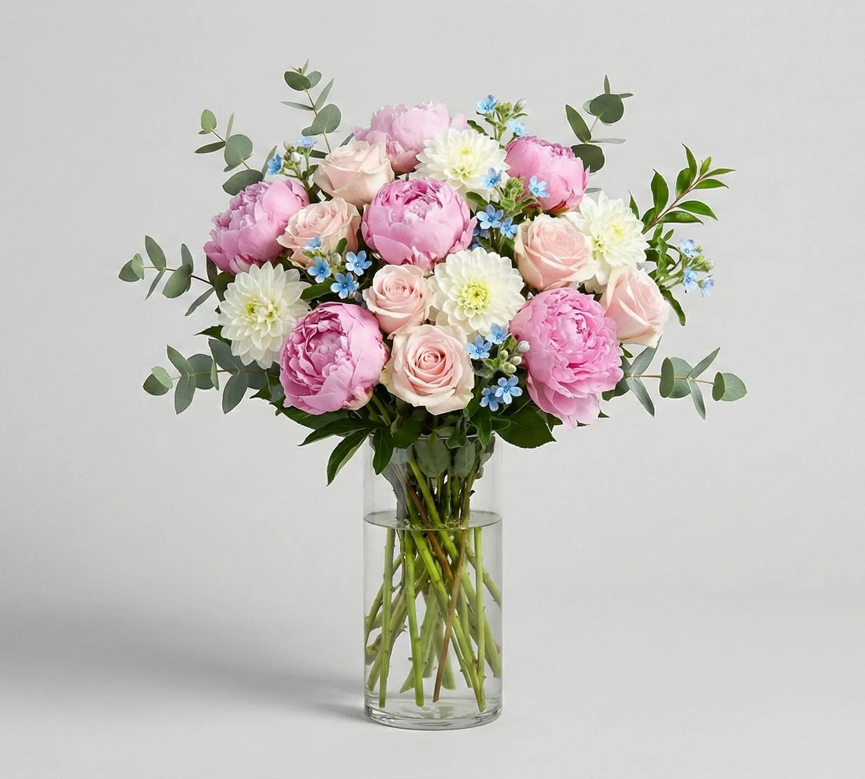 Peony Paradise Peony Paradise