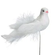 Bird Pick Bird Pick image