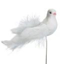 Bird Pick image