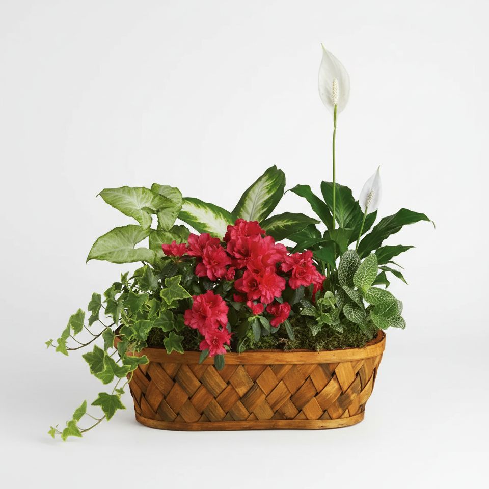 Verdant Harmony Planter Verdant Harmony Planter
