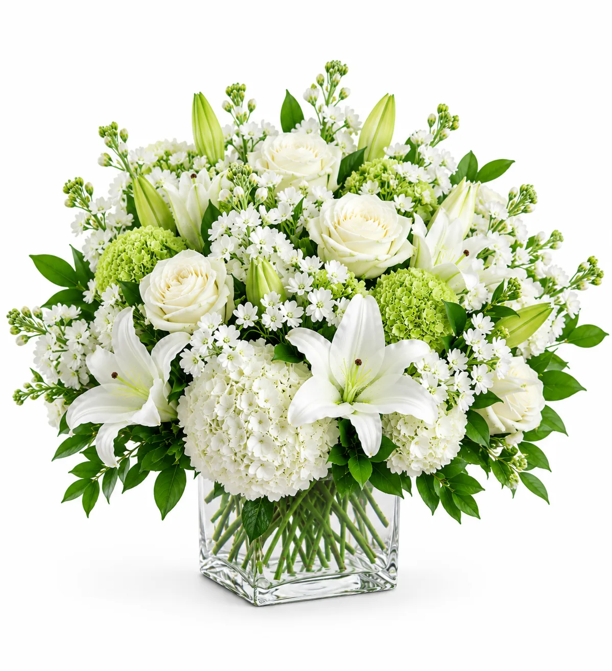 Ivory Elegance Ivory Elegance