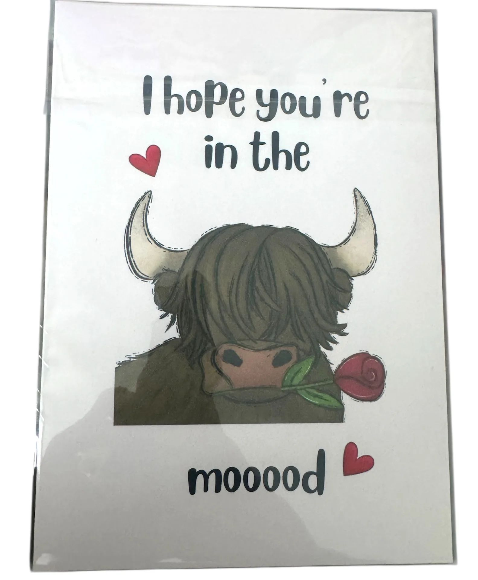 Hope You're in the Mood Greeting Card