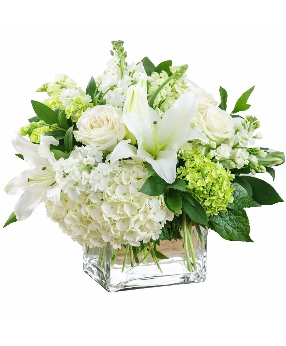 Ivory Elegance