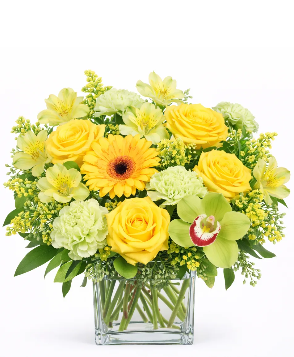 You Are My Sunshine You Are My Sunshine