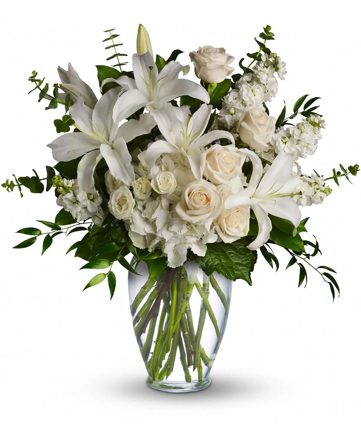 Classic Whites