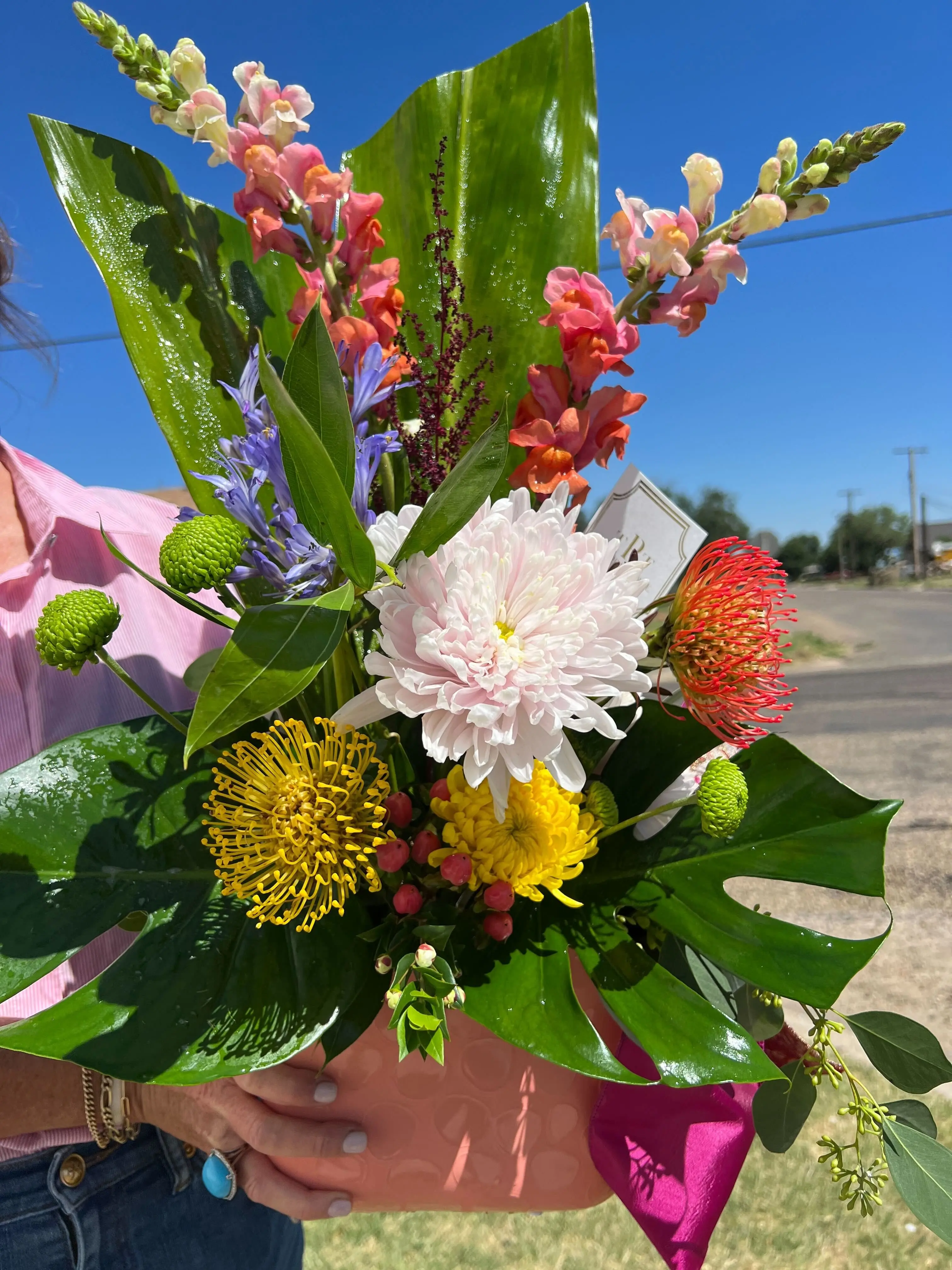 Tropical Sky Tropical Sky