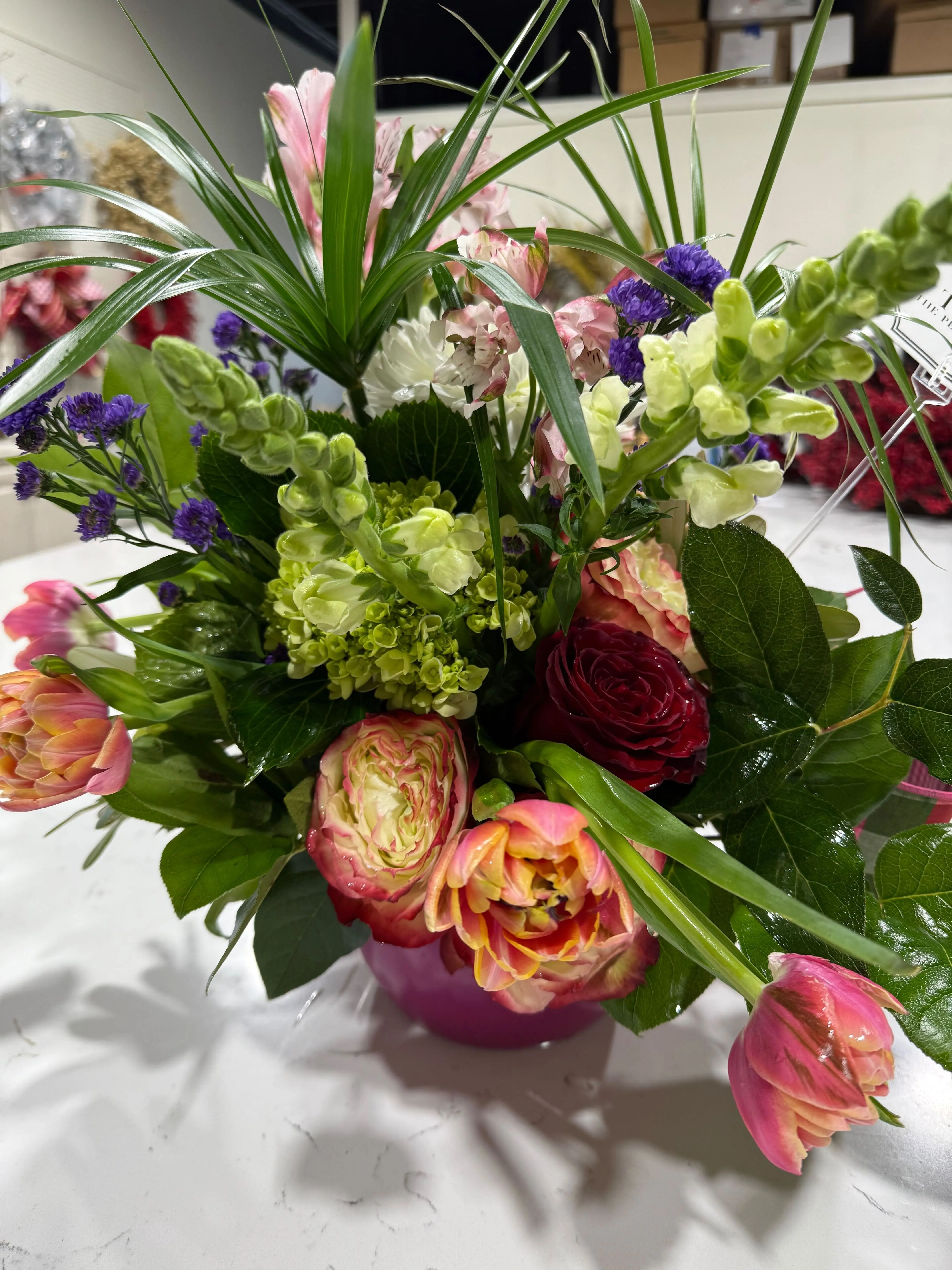 Umbrella Surprise Umbrella Surprise