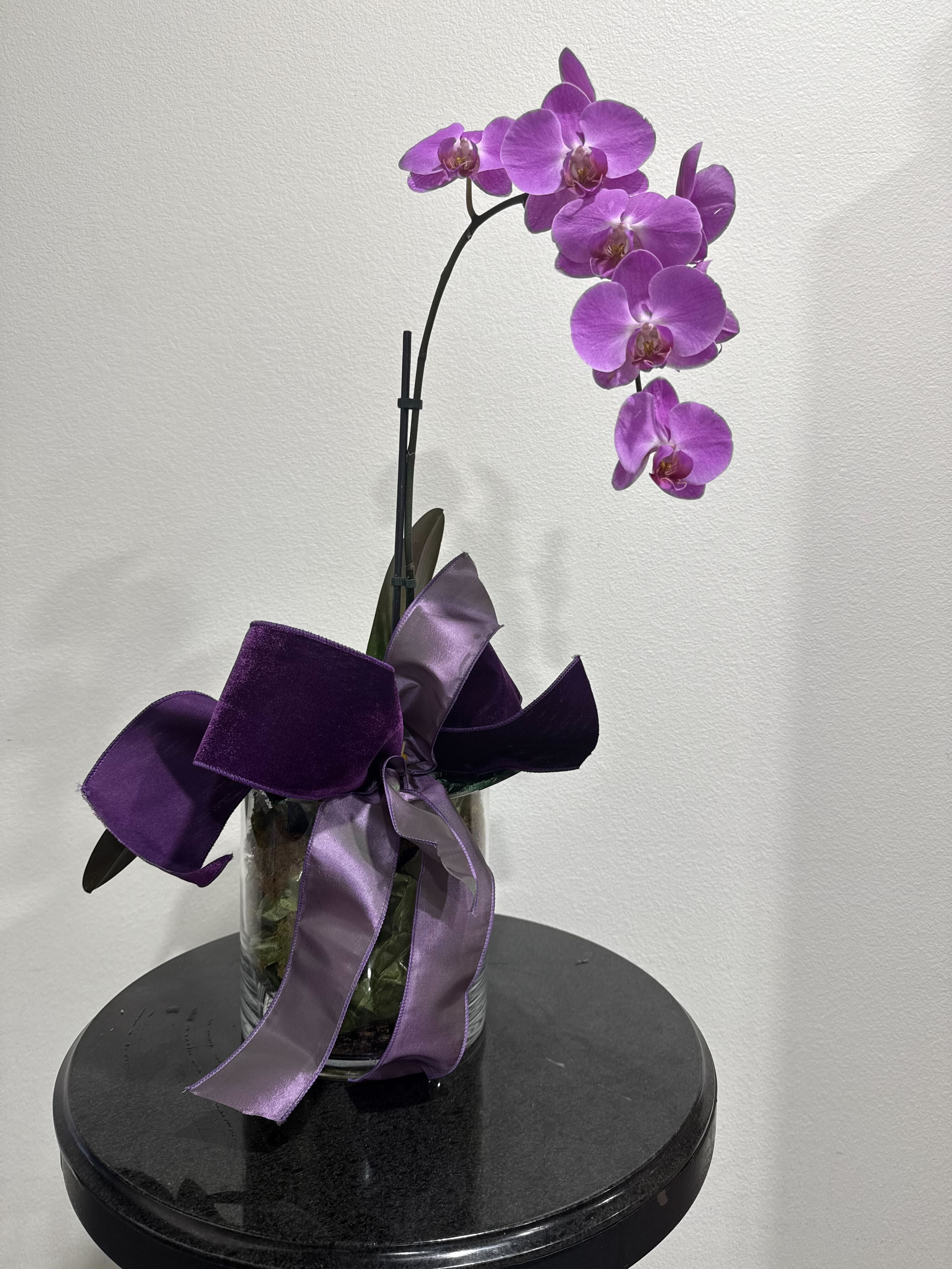 Plant Arrangement Plant Arrangement