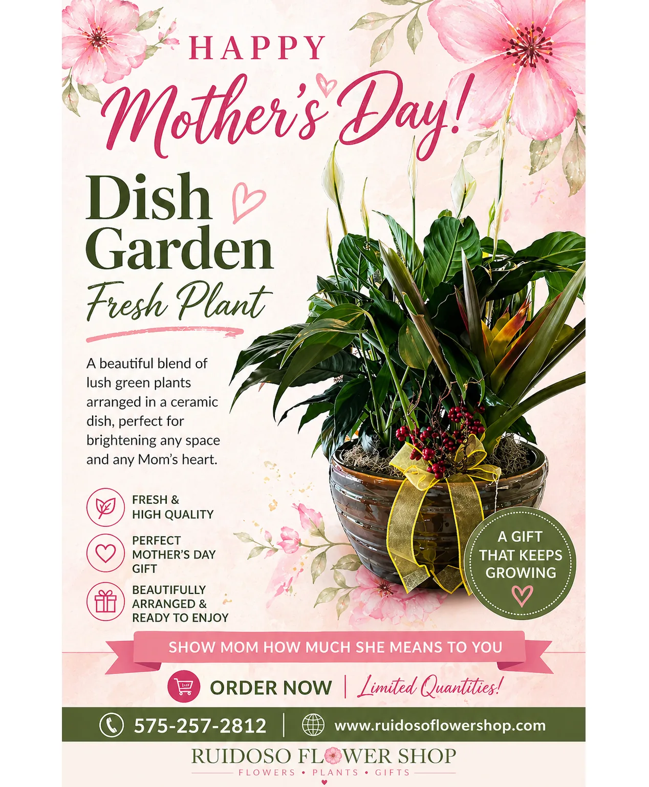 Dish Garden Mixed Plan Fresh Plant Dish Garden Mixed Plan Fresh Plant