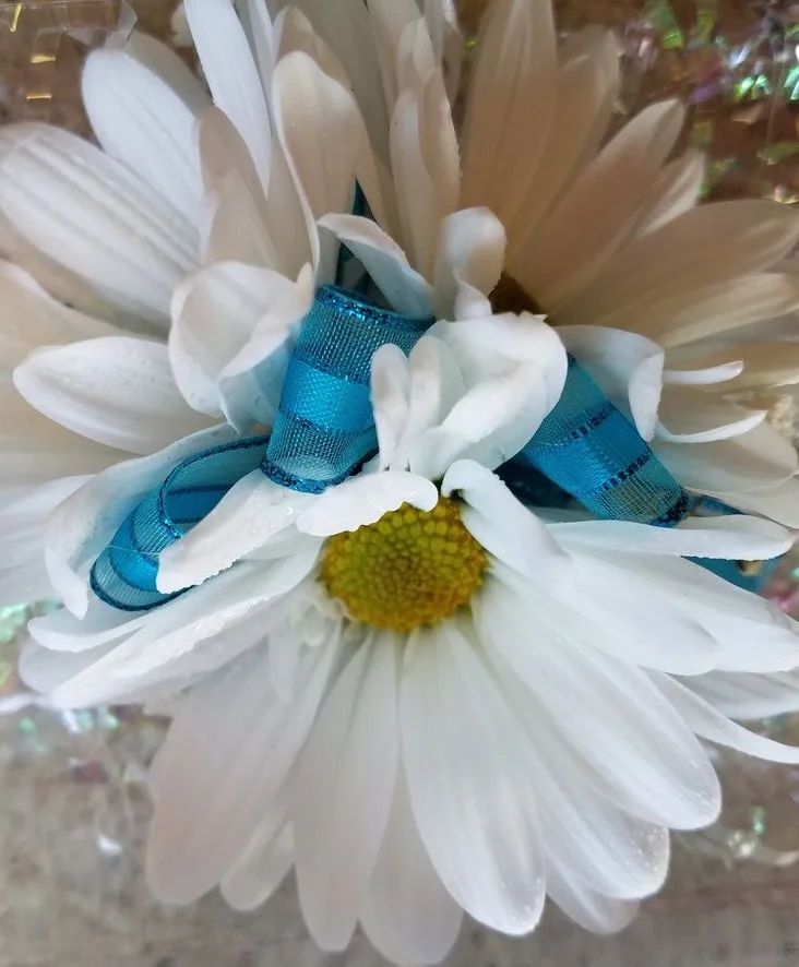 White daisy wrist corsage