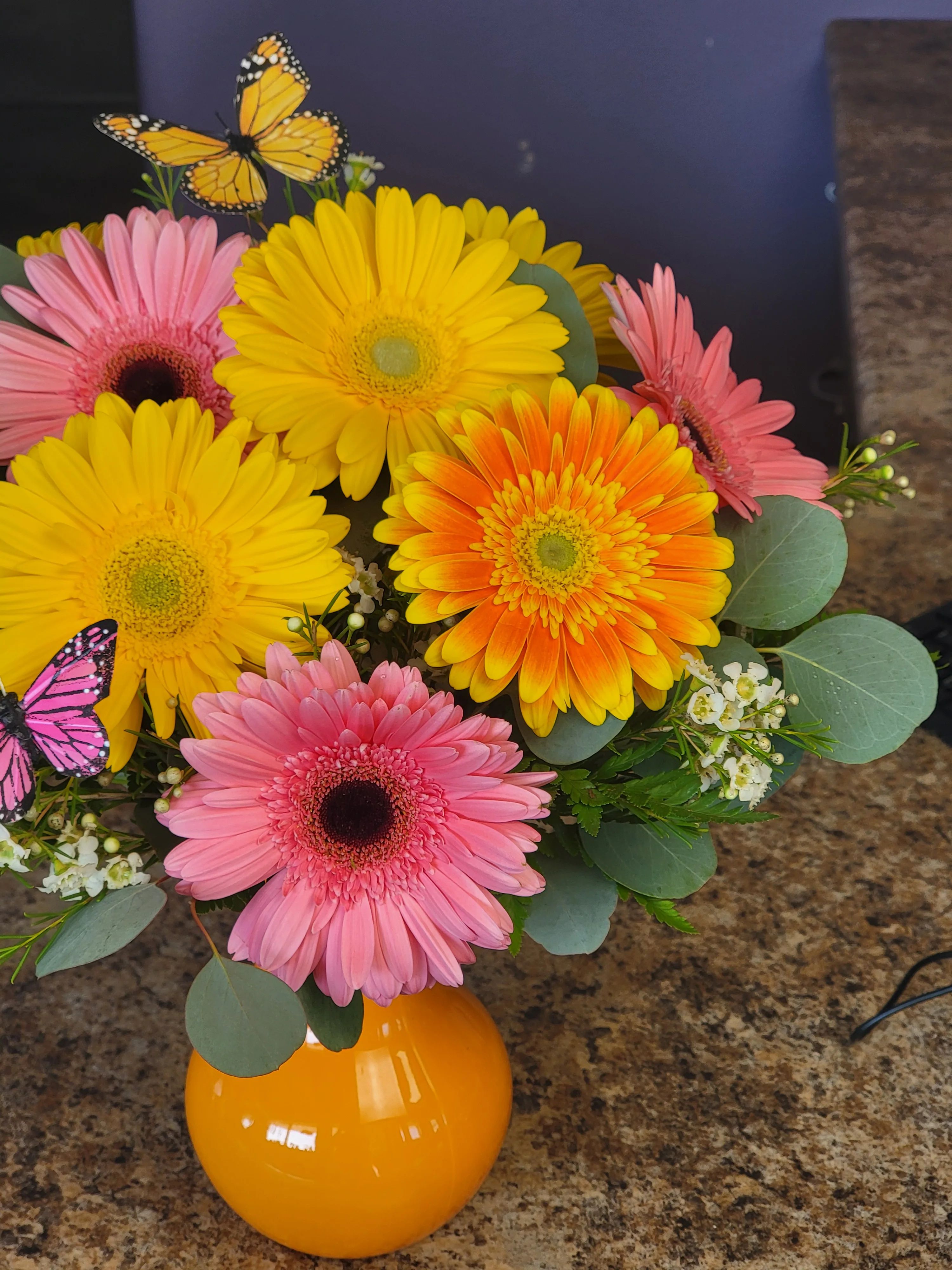 Summer Gerbera Mix