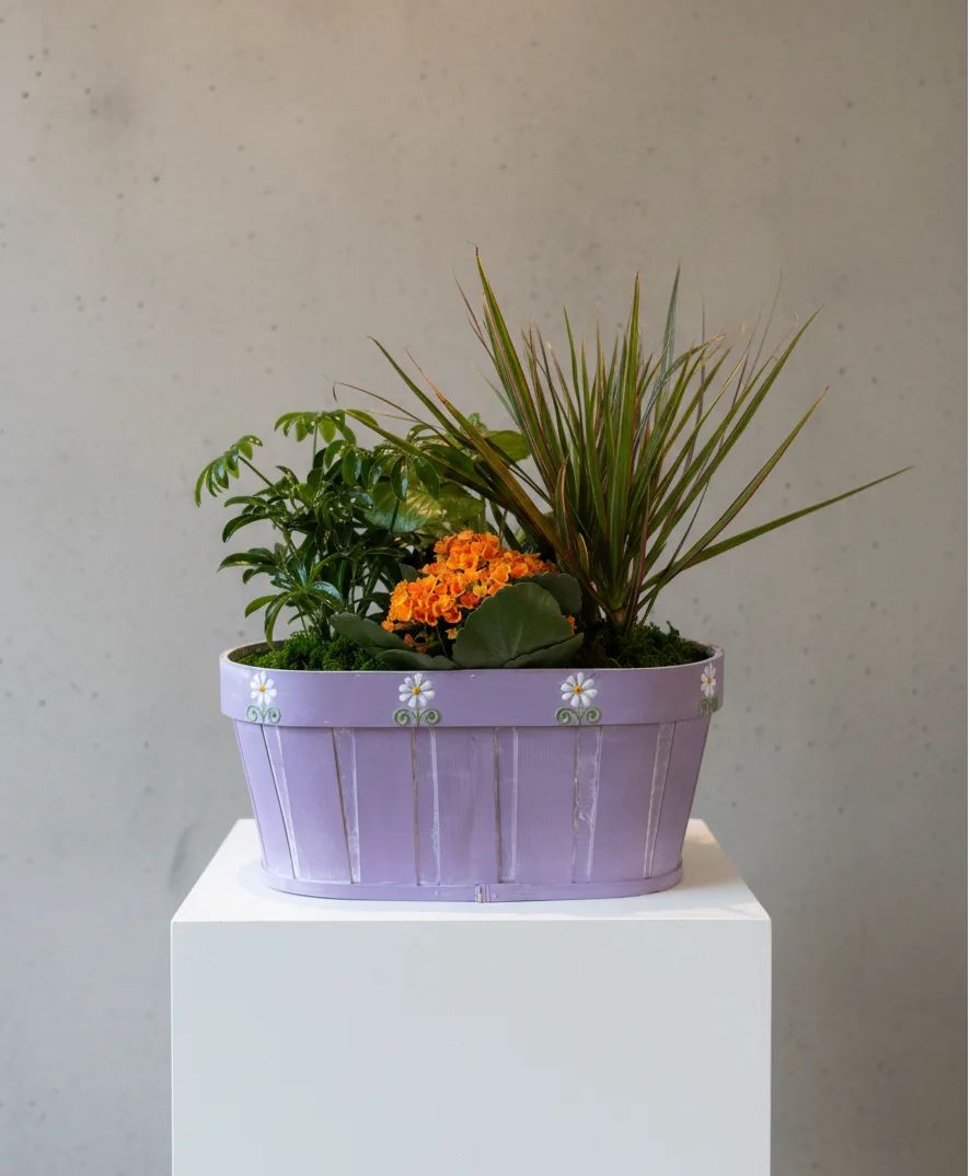 Colorful Flowering Planter planter
