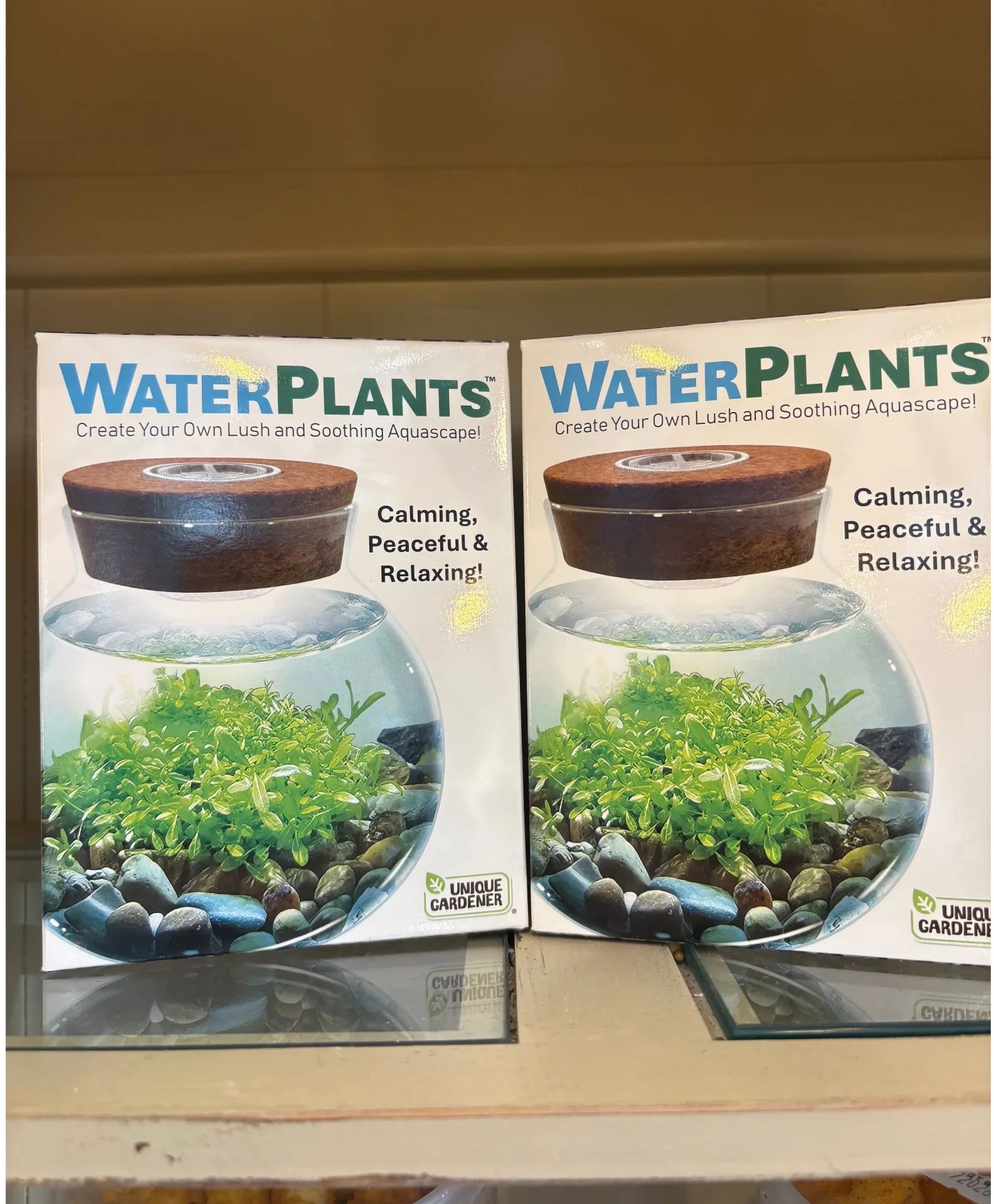 Water Plant Kit