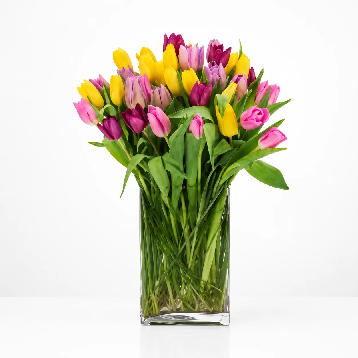 Crazy Tulips