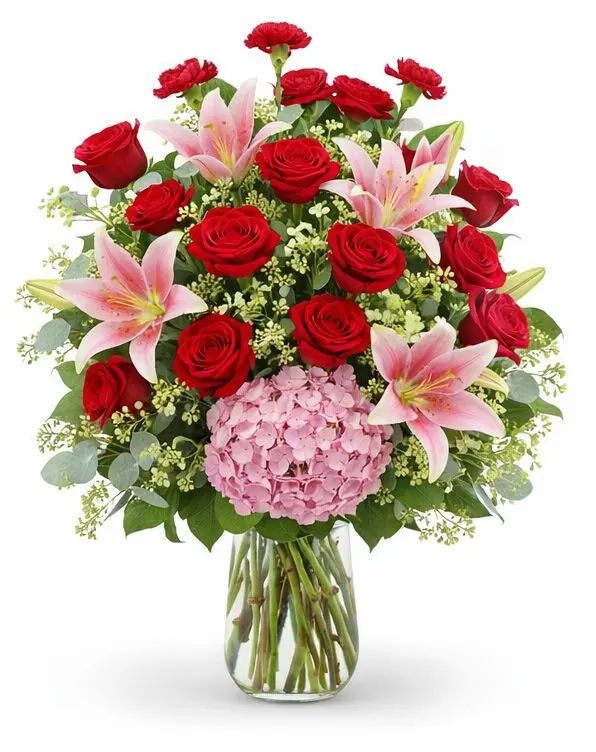 Hydrangea Rose Dream