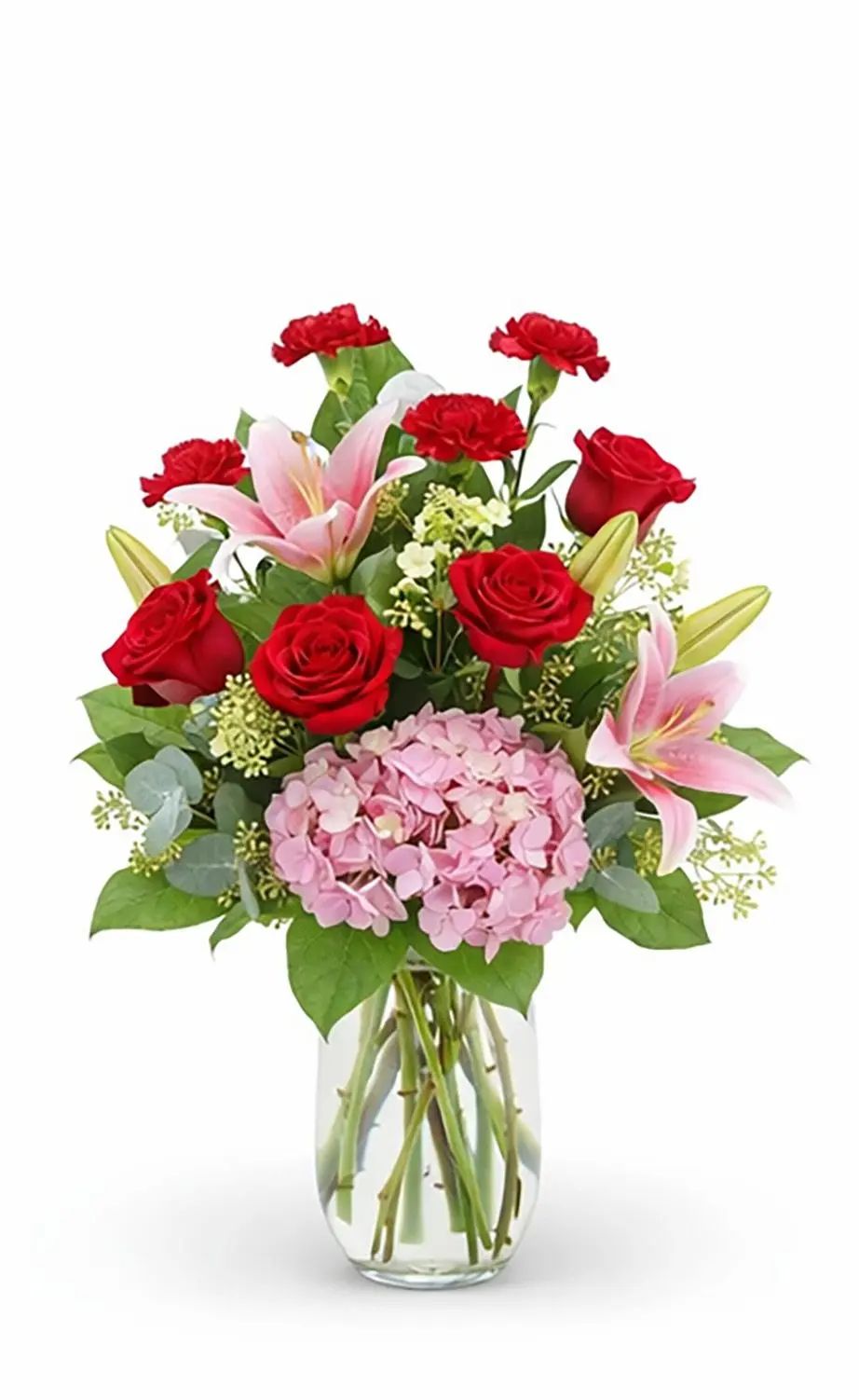 Hydrangea Rose Dream