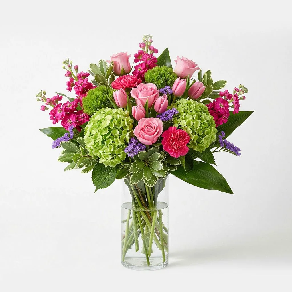 Spring Pink Tulip Spring Pink Tulip