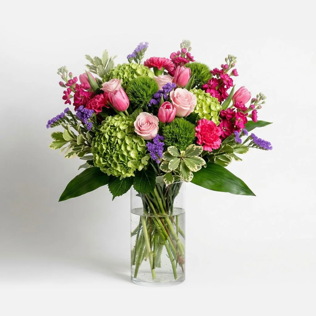 Spring Pink Tulip Spring Pink Tulip