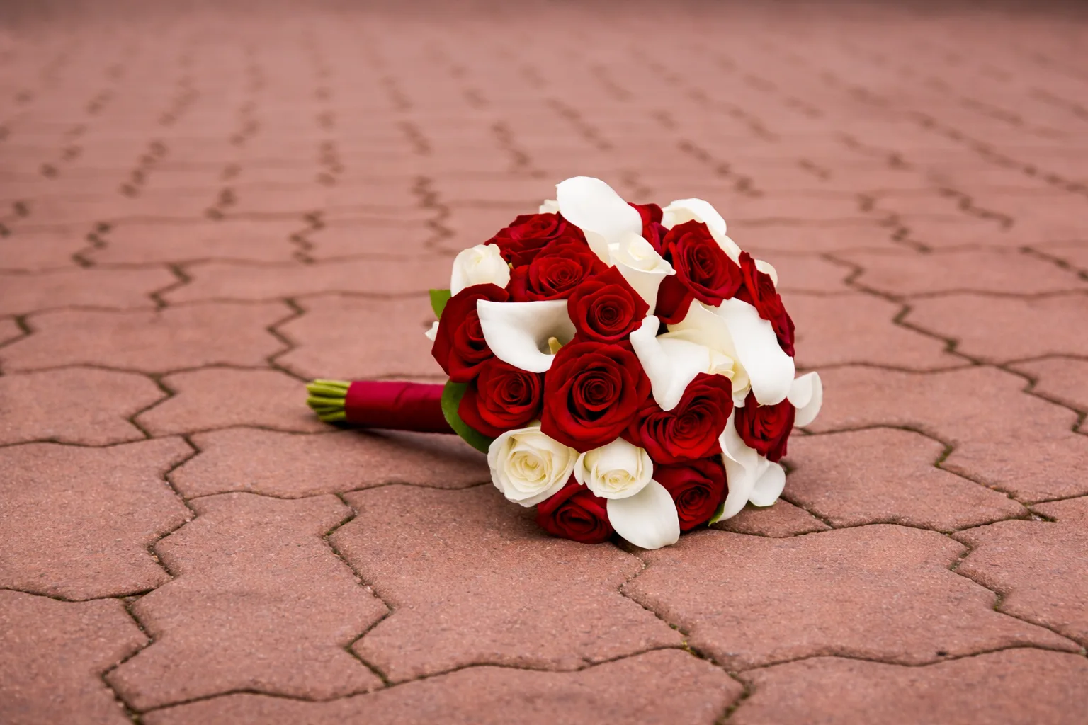 Featured flowers Featured flowers