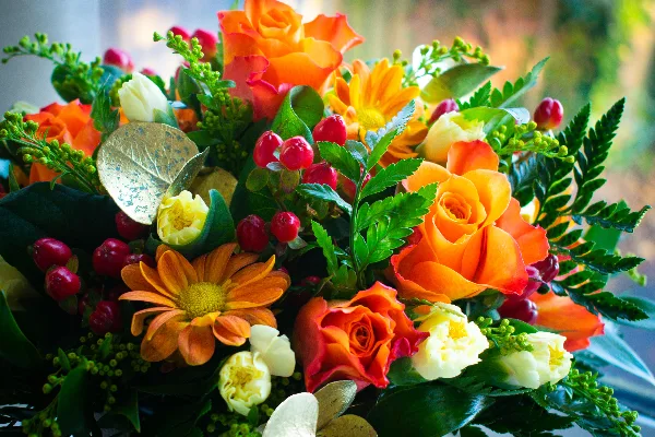 6 Month Plan FLOWER SUBSCRIPTIONS 6 Month Plan FLOWER SUBSCRIPTIONS