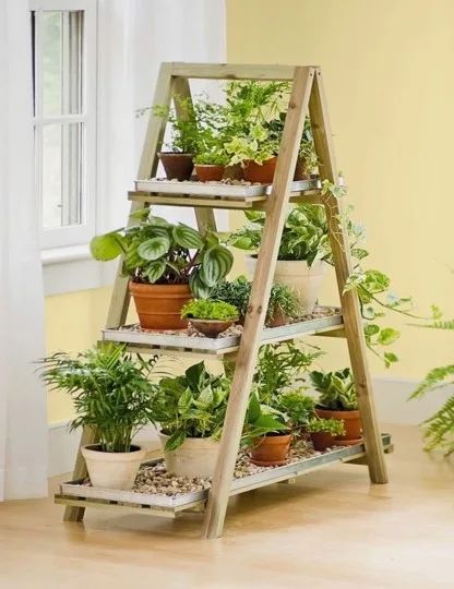 3 Month Plant Plan Flower Subscription