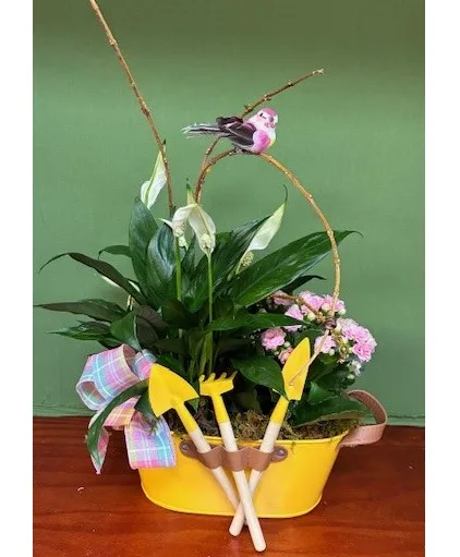 Master Gardener plant Master Gardener plant