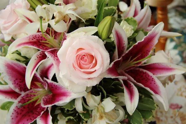 12 Month Plan FLOWER SUBSCRIPTIONS