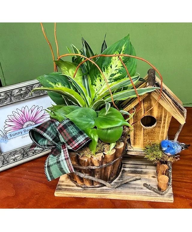 Blue Skies Planter Dishgarden