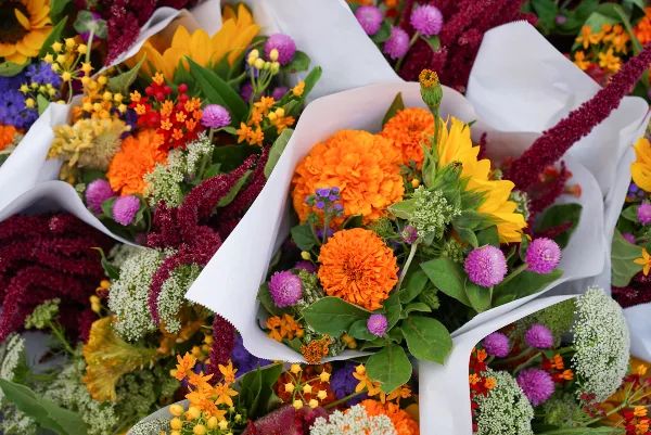 3 Month Plan FLOWER SUBSCRIPTIONS