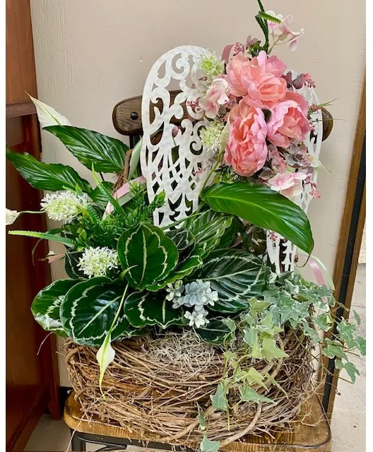 Garden Angel House Plant Garden Angel House Plant