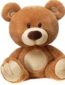 Stuffed Animal image