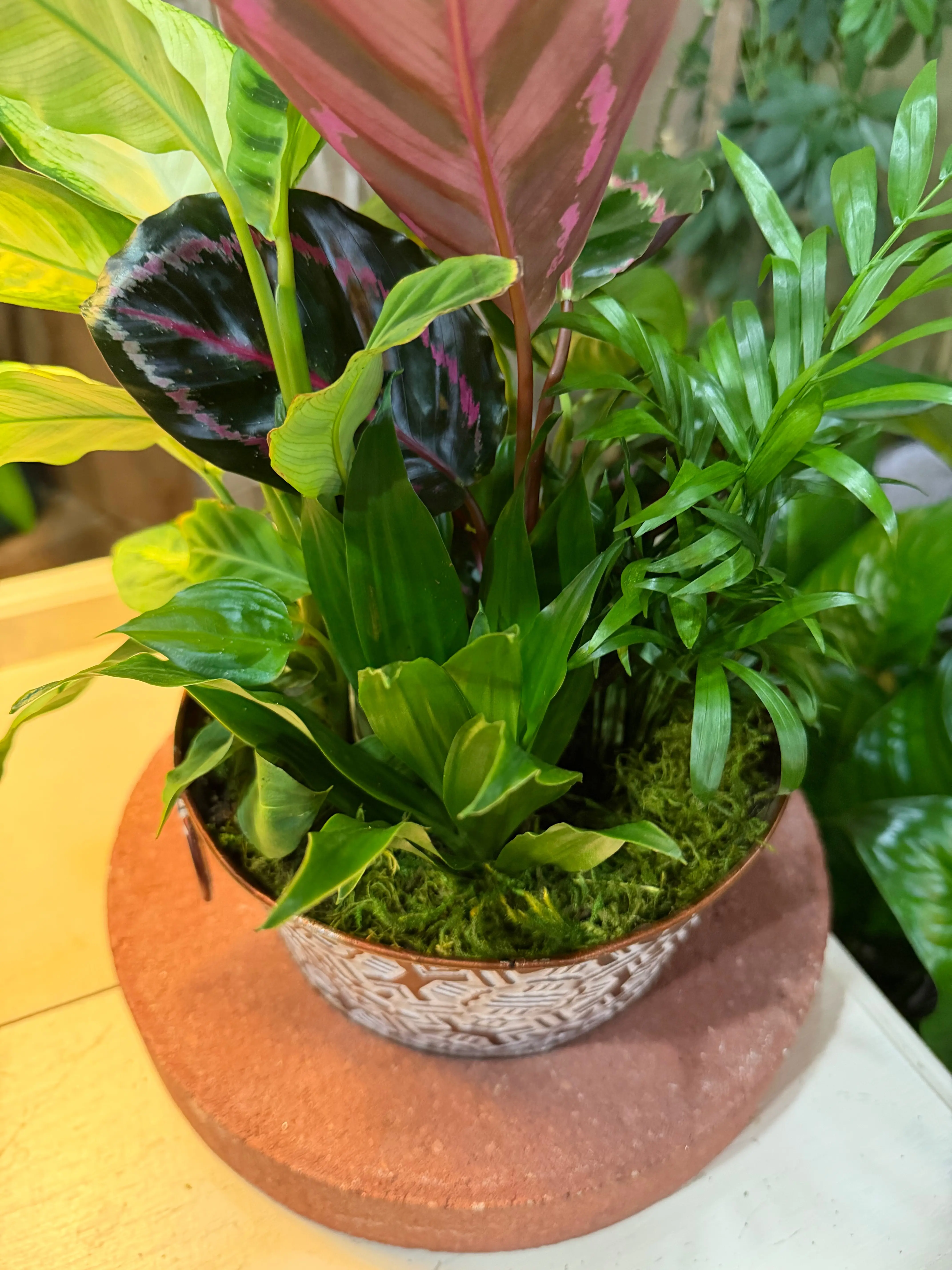 Mixed Planter Mixed Planter