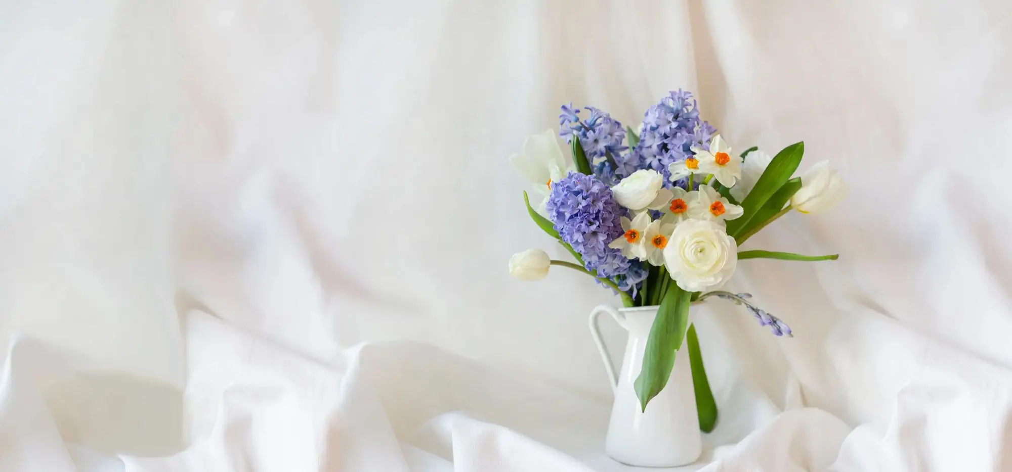 Featured flowers Featured flowers