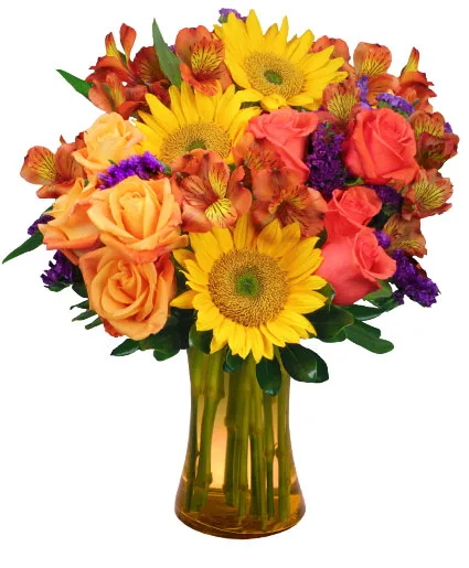 Sunflower Sampler Arrangement Sunflower Sampler Arrangement