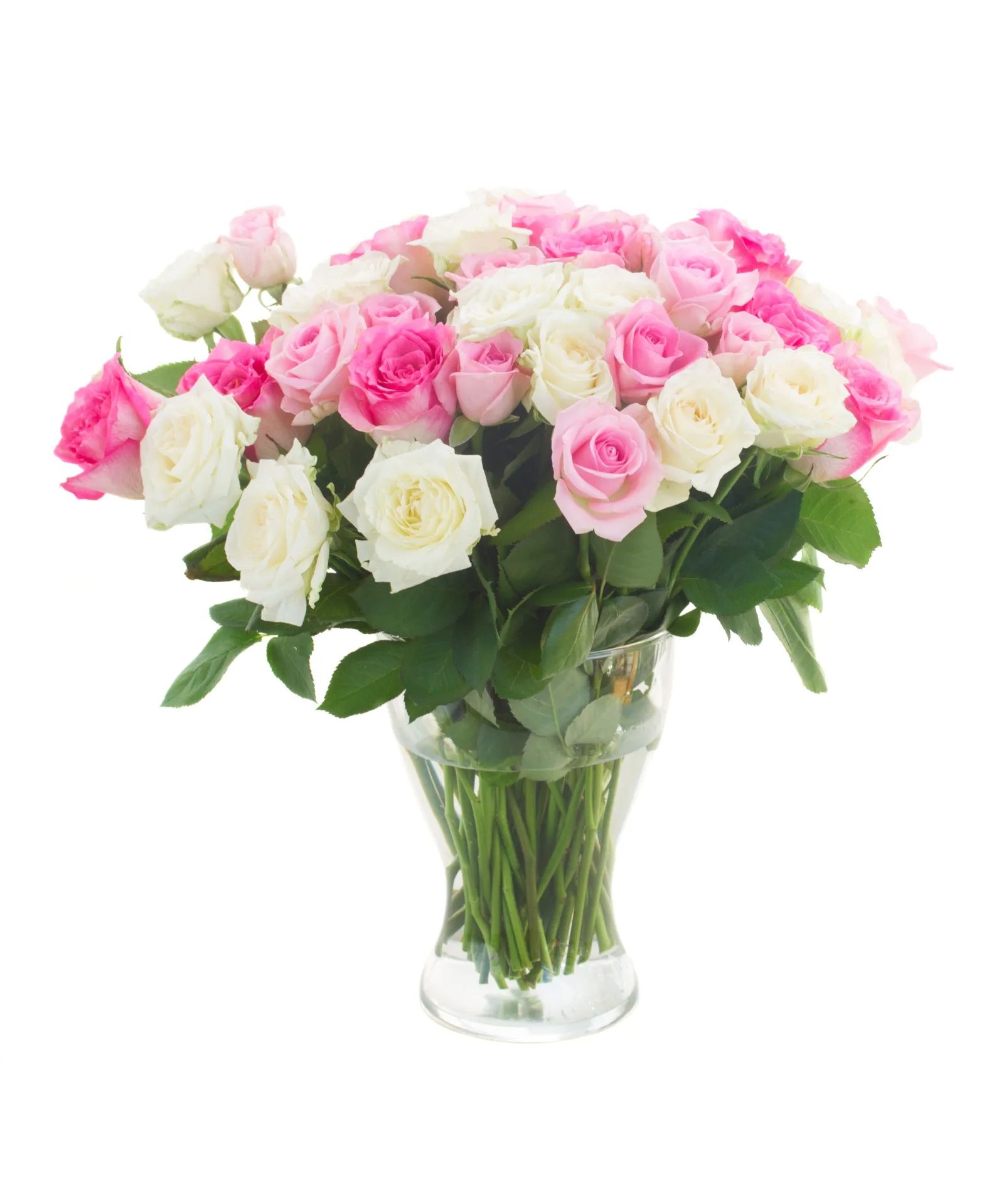 Blush and Pearl-36 Rose Vase Arrangement