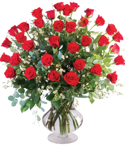 Three Dozen Red Roses Vase Arrangement Three Dozen Red Roses Vase Arrangement