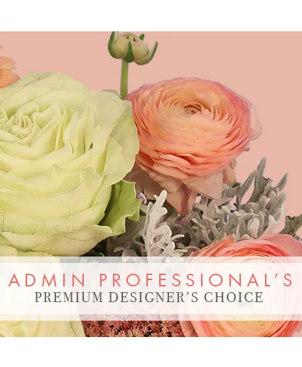 Admin Professional Florals Premium Designer's Choice Admin Professional Florals Premium Designer's Choice