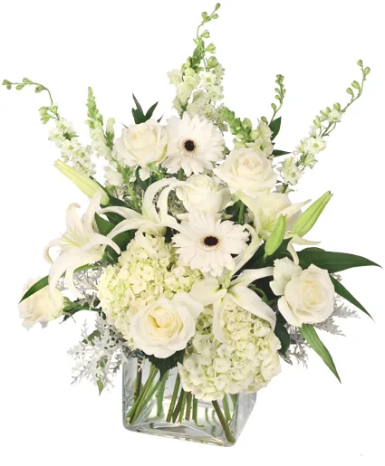Pure Elegance Vase Arrangement Pure Elegance Vase Arrangement