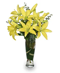 LILIES AMARILLAS HERMOSAS Arreglo Floral LILIES AMARILLAS HERMOSAS Arreglo Floral