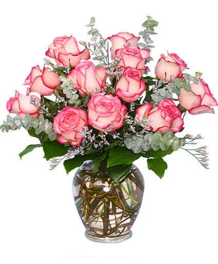 A DAZZLING DOZEN Bi-Colored Roses A DAZZLING DOZEN Bi-Colored Roses