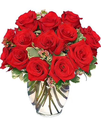 Classic Rose Royale 18 Red Roses Vase Classic Rose Royale 18 Red Roses Vase