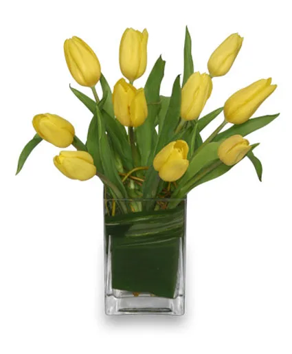 SUNNY TULIPS Floral Arrangement SUNNY TULIPS Floral Arrangement
