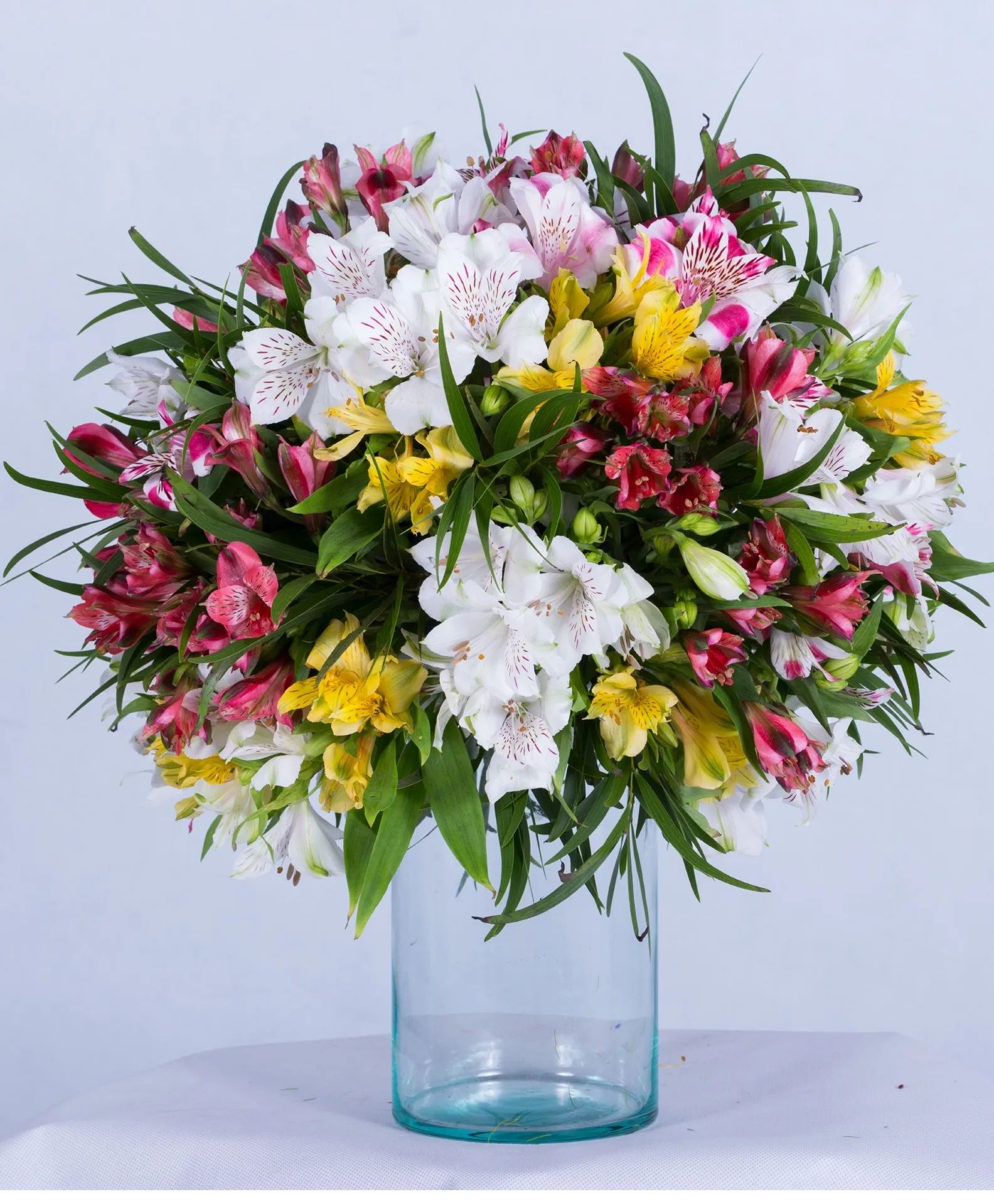 Alstro Edit Vase