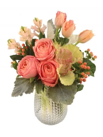 Softness Bouquet Softness Bouquet