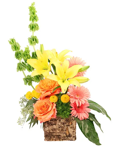Amber Lilies Floral Design Amber Lilies Floral Design
